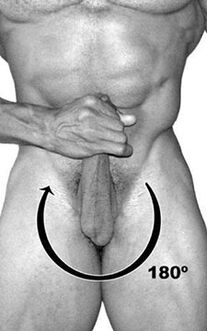 Exercise clocks for members