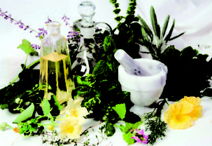 Herbs for penis enlargement