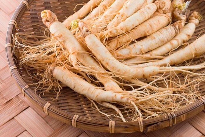 Ginseng root for preparing tincture for stimulating blood circulation of penis tissue