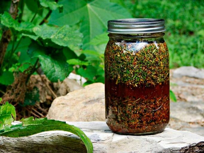 Wormwood soup will help increase the size of male genitalia